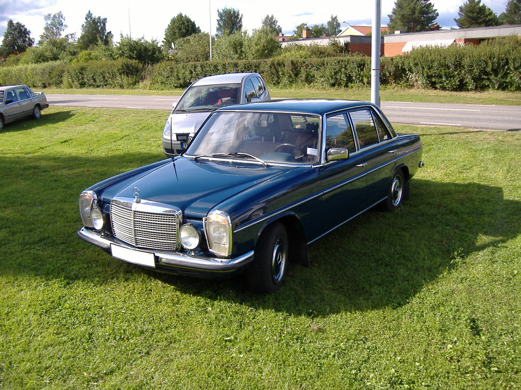 Mercan-07.jpg